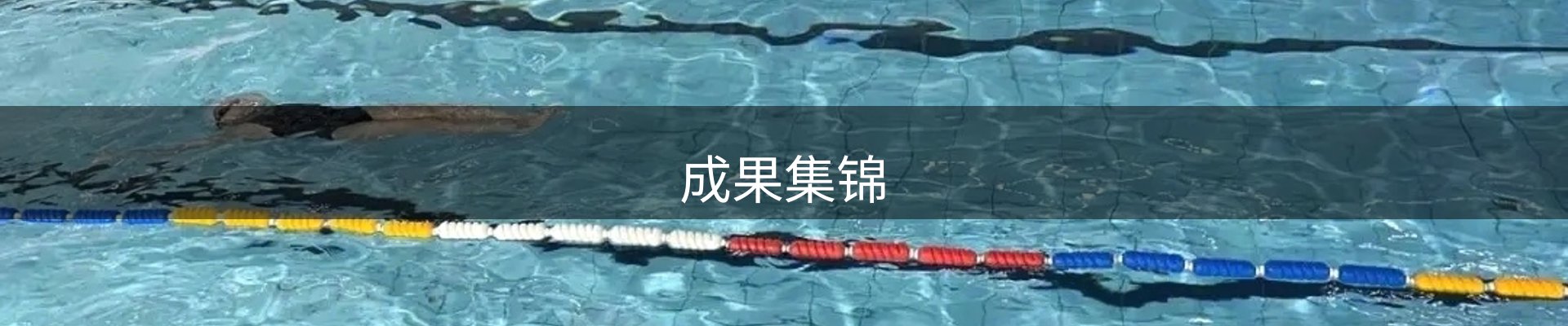 成果集锦
