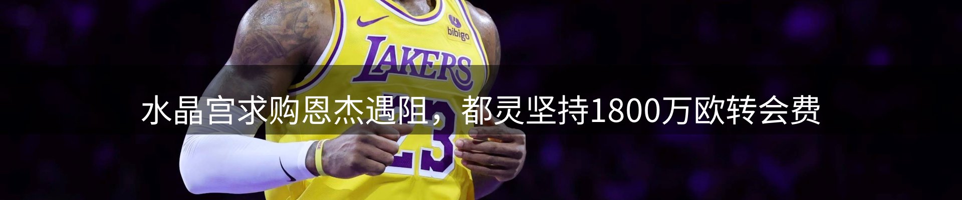 焦点总览