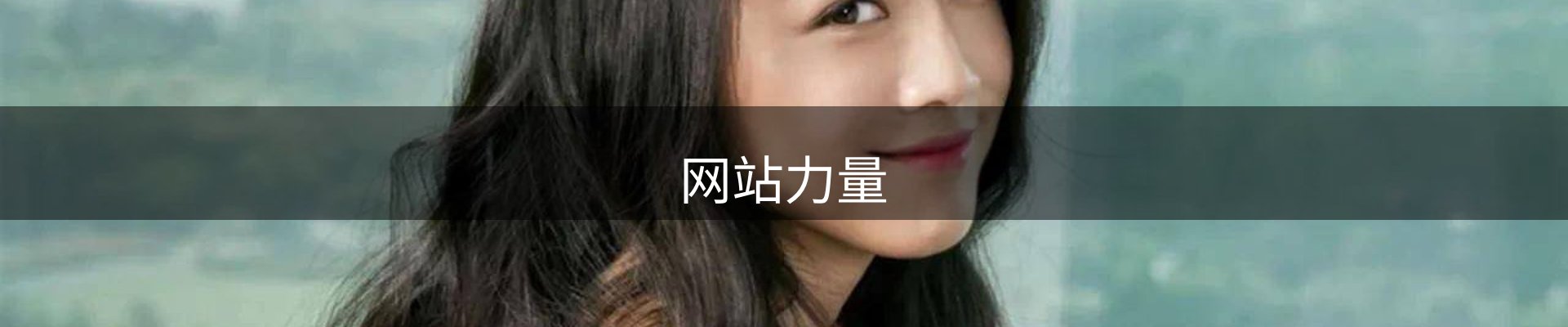 网站力量