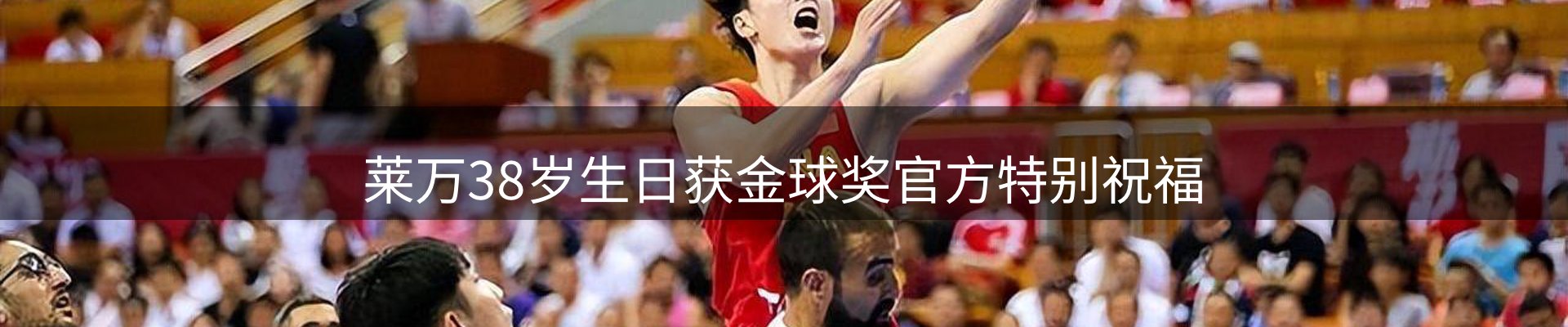 焦点总览
